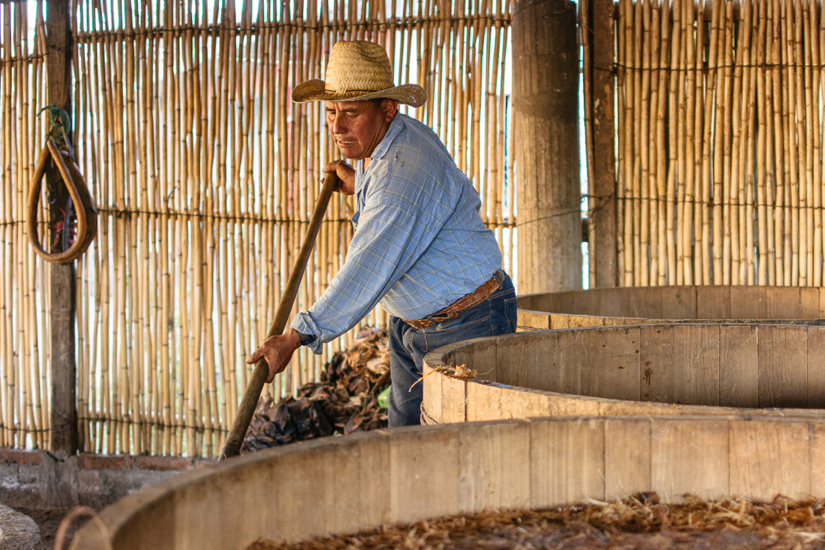 Fermentación de mezcal artesanal Jarabe de Pico Oaxaca